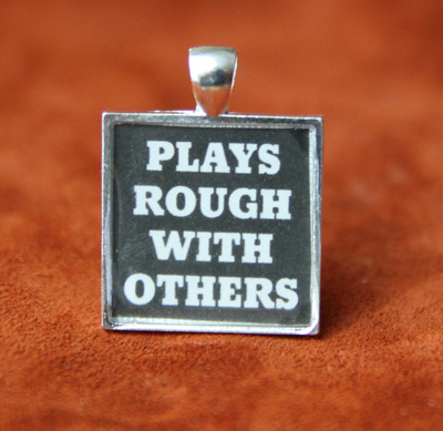 plays rough with others